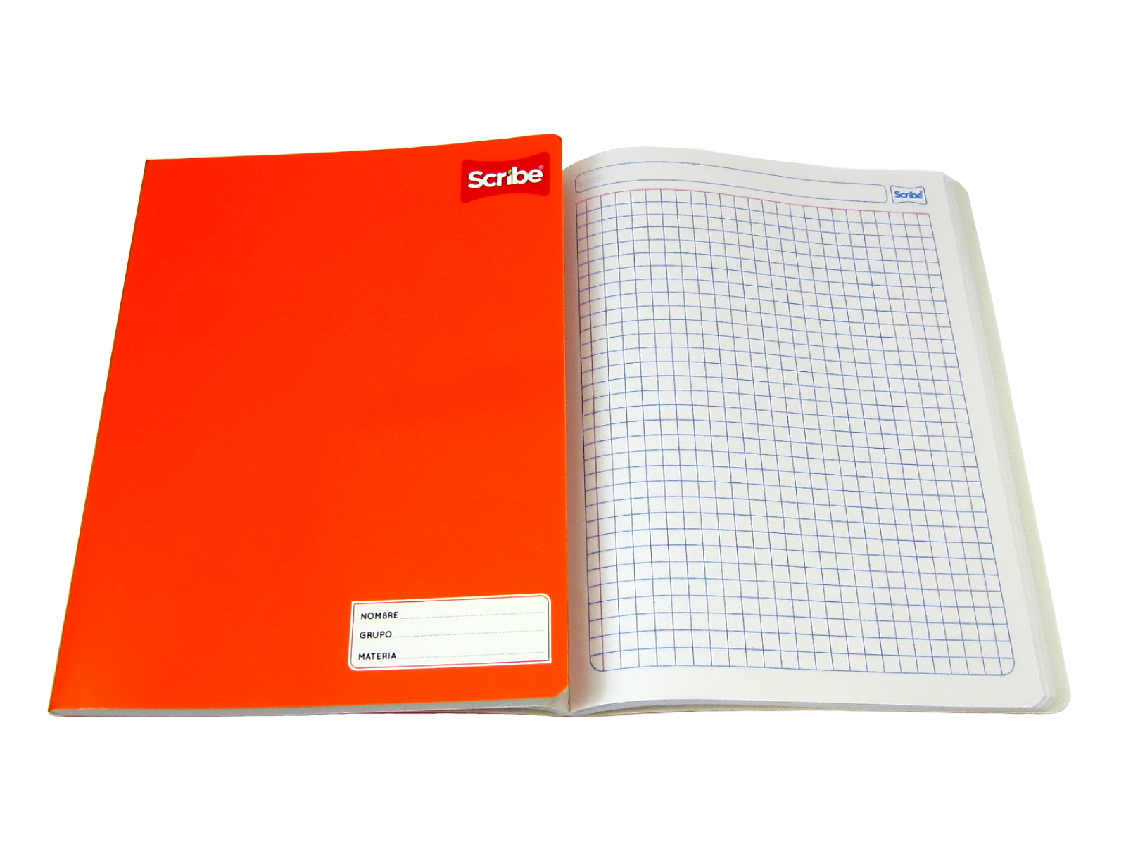 CUADERNO PROF.COSIDO 100H 7MM 4503                          
